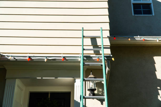 Professional Siding Installation & Repair in Franklin Farm, VA