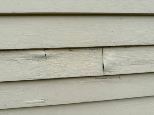 How To Choose The Right Materials for Your Siding Installation in 'Franklin Farm, VA